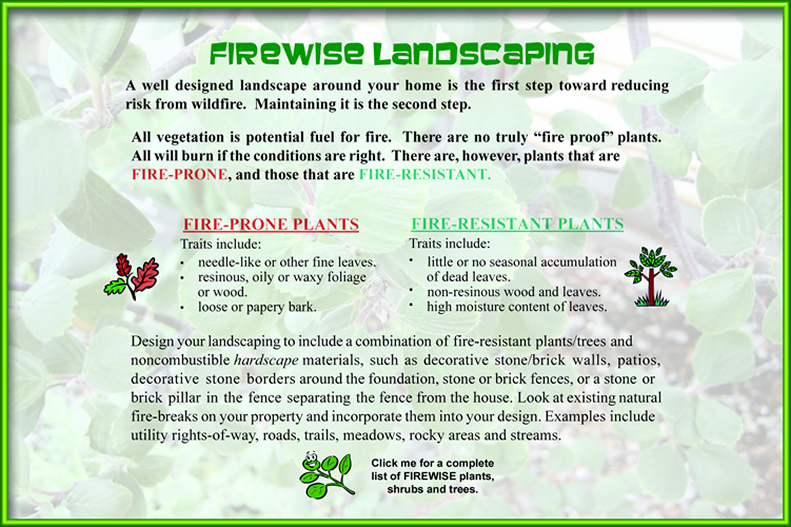 Firewise Landscaping.jpg